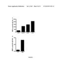 LENTIVIRAL VECTOR BASED IMMUNOLOGICAL COMPOUNDS AGAINST MALARIA diagram and image