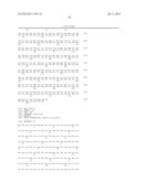 LENTIVIRAL VECTOR BASED IMMUNOLOGICAL COMPOUNDS AGAINST MALARIA diagram and image