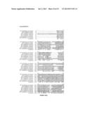 LENTIVIRAL VECTOR BASED IMMUNOLOGICAL COMPOUNDS AGAINST MALARIA diagram and image