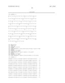 LENTIVIRAL VECTOR BASED IMMUNOLOGICAL COMPOUNDS AGAINST MALARIA diagram and image