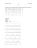 LENTIVIRAL VECTOR BASED IMMUNOLOGICAL COMPOUNDS AGAINST MALARIA diagram and image