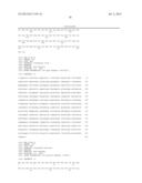 LENTIVIRAL VECTOR BASED IMMUNOLOGICAL COMPOUNDS AGAINST MALARIA diagram and image