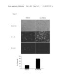 HYALURONIC ACID HYDROGEL AND USE THEREOF diagram and image