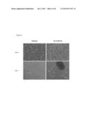 HYALURONIC ACID HYDROGEL AND USE THEREOF diagram and image