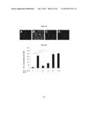 METHODS AND USES FOR INHIBITING PLATELET COAGULATION diagram and image