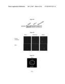 METHODS AND USES FOR INHIBITING PLATELET COAGULATION diagram and image