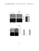 METHODS AND USES FOR INHIBITING PLATELET COAGULATION diagram and image