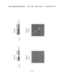 METHODS AND USES FOR INHIBITING PLATELET COAGULATION diagram and image