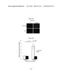 METHODS AND USES FOR INHIBITING PLATELET COAGULATION diagram and image