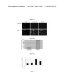 METHODS AND USES FOR INHIBITING PLATELET COAGULATION diagram and image