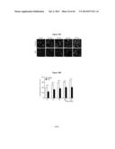 METHODS AND USES FOR INHIBITING PLATELET COAGULATION diagram and image