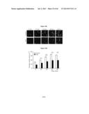 METHODS AND USES FOR INHIBITING PLATELET COAGULATION diagram and image