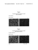 ORAL CARE COMPOSITIONS FOR BENEFITING TEETH diagram and image