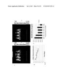 USE OF PTEN-LONG LEADER SEQUENCE FOR TRANSMEMBRANE DELIVERY OF MOLECULES diagram and image