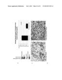 USE OF PTEN-LONG LEADER SEQUENCE FOR TRANSMEMBRANE DELIVERY OF MOLECULES diagram and image