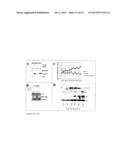 USE OF PTEN-LONG LEADER SEQUENCE FOR TRANSMEMBRANE DELIVERY OF MOLECULES diagram and image