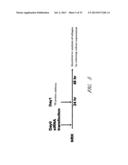 DRUG CARRIER AND DRUG CARRIER KIT FOR INHIBITING FIBROSIS diagram and image