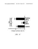 DRUG CARRIER AND DRUG CARRIER KIT FOR INHIBITING FIBROSIS diagram and image