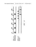 DRUG CARRIER AND DRUG CARRIER KIT FOR INHIBITING FIBROSIS diagram and image