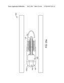 THERAPEUTIC AGENT PREPARATIONS FOR DELIVERY INTO A LUMEN OF THE INTESTINAL     TRACT USING A SWALLOWABLE DRUG DELIVERY DEVICE diagram and image