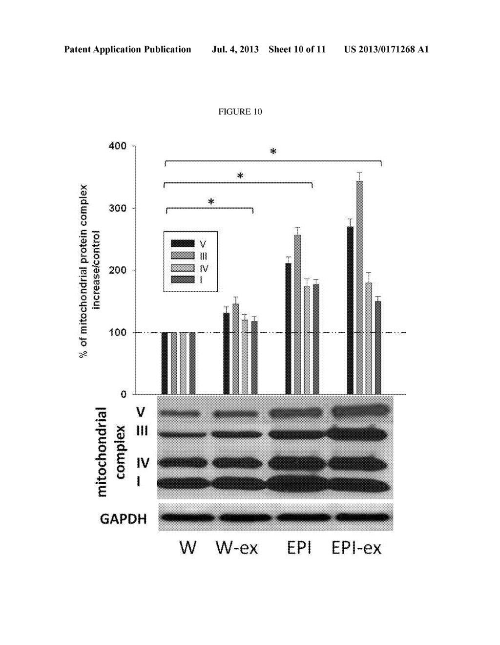 METHODS AND COMPOSITIONS FOR TREATMENT OF MITOCHONDRIAL TOXICITY - diagram, schematic, and image 11