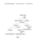 USE OF BAMBOO VINEGAR FOR TREATING INFLAMMATION diagram and image