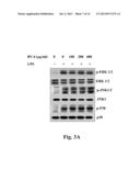 USE OF BAMBOO VINEGAR FOR TREATING INFLAMMATION diagram and image