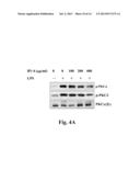 USE OF BAMBOO VINEGAR FOR TREATING INFLAMMATION diagram and image