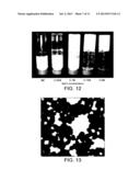 WHEY PROTEIN MICELLES diagram and image