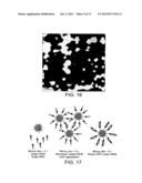 WHEY PROTEIN MICELLES diagram and image