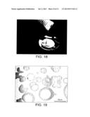 WHEY PROTEIN MICELLES diagram and image