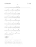 PRODUCTION OF STEVIOL GLYCOSIDES IN MICROORGANISMS diagram and image