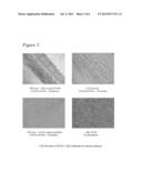 Stimuli Responsive Nanofibers diagram and image