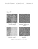 Stimuli Responsive Nanofibers diagram and image