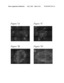 Stimuli Responsive Nanofibers diagram and image