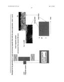 PVD COATING FOR METAL MACHINING diagram and image