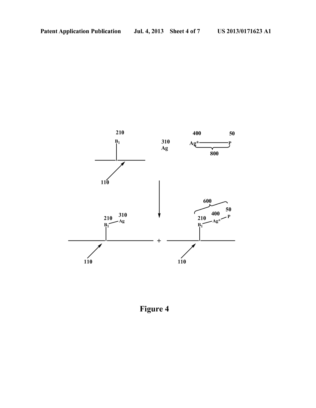 Binding Assays Utilizing Time-Resolved Up-Converting Luminescence     Detection - diagram, schematic, and image 05