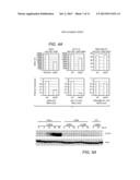 BIOMARKERS FOR CANCERS RESPONSIVE TO MODULATORS OF HEC1 ACTIVITY diagram and image