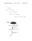 METHOD AND KIT FOR MEASUREMENT OF ENDOTOXIN LEVEL USING BIOLUMINESCENT     ASSAY diagram and image