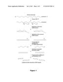 METHOD FOR IN VITRO DIAGNOSIS OR PROGNOSIS OF TESTICULAR CANCER diagram and image