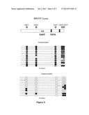 METHOD FOR IN VITRO DIAGNOSIS OR PROGNOSIS OF TESTICULAR CANCER diagram and image