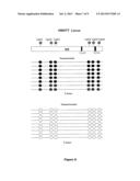 METHOD FOR IN VITRO DIAGNOSIS OR PROGNOSIS OF TESTICULAR CANCER diagram and image