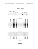 METHOD FOR IN VITRO DIAGNOSIS OR PROGNOSIS OF TESTICULAR CANCER diagram and image