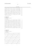 METHOD FOR IN VITRO DIAGNOSIS OR PROGNOSIS OF TESTICULAR CANCER diagram and image