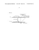 IDENTIFICATION AND CHARACTERIZATION OF THE SPINACTIN BIOSYSNTHESIS GENE     CLUSTER FROM SPINOSYN PRODUCING SACCHAROPOLYSPORA SPINOSA diagram and image