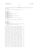 IDENTIFICATION AND CHARACTERIZATION OF THE SPINACTIN BIOSYSNTHESIS GENE     CLUSTER FROM SPINOSYN PRODUCING SACCHAROPOLYSPORA SPINOSA diagram and image