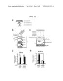 COMPOSITION FOR TREATING SEPSIS OR SEPTIC SHOCK COMPRISING THE PEPTIDE     ORIGINATED FROM THE SMAD6 diagram and image