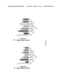 ROFLUMILAST COMPOSITIONS FOR THE TREATMENT OF COPD diagram and image