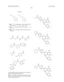 BENZAMIDES AND RELATED INHIBITORS OF FACTOR XA diagram and image