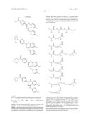 BENZAMIDES AND RELATED INHIBITORS OF FACTOR XA diagram and image